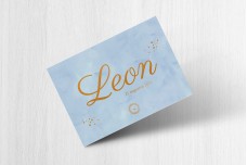 Blauw met bronzen leeuw Blauw met bronzen leeuw